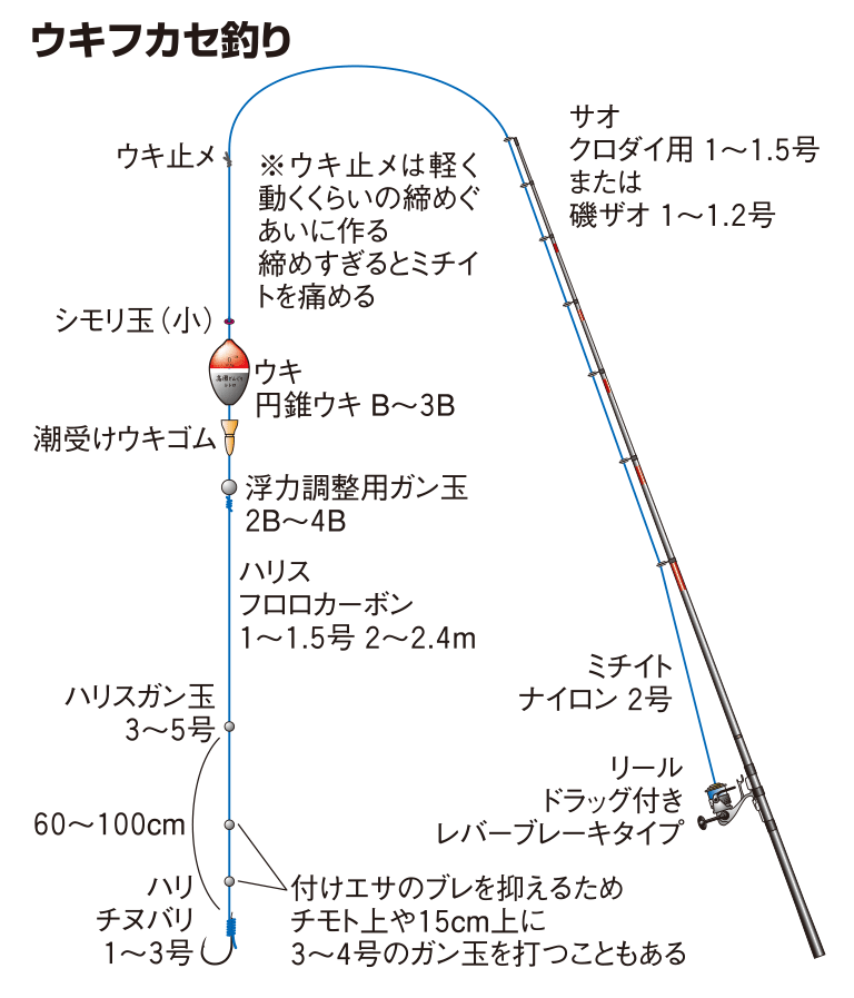 ヘダイの仕掛け ウキフカセ釣り 釣魚図鑑 特徴 仕掛け さばき方 Honda釣り倶楽部 Honda