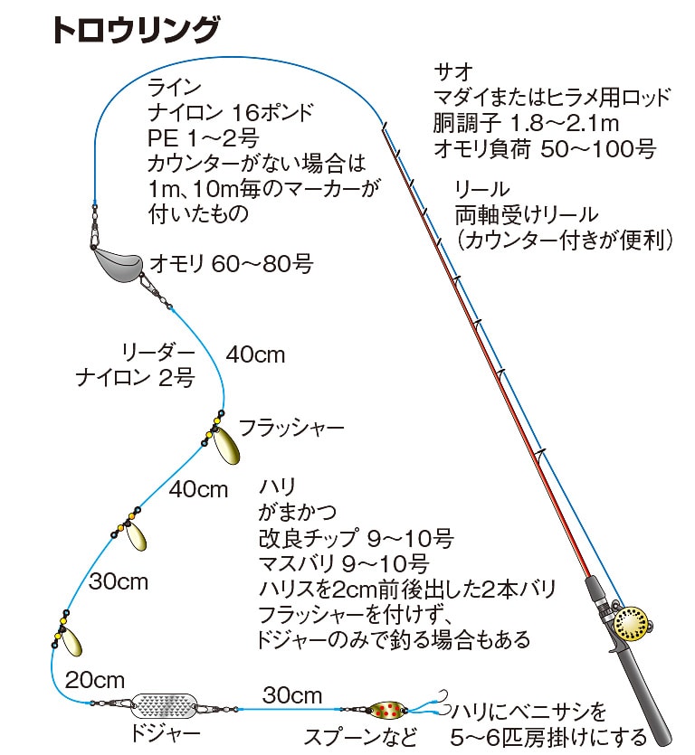 ヒメマスの仕掛け トロウリング サビキ釣り 釣魚図鑑 特徴 仕掛け さばき方 Honda釣り倶楽部 Honda