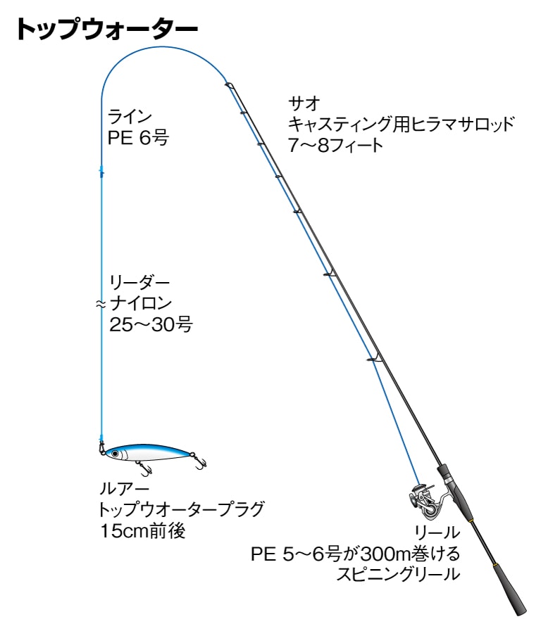 ヒラマサの仕掛け トップウォーター カゴ釣り ジギング 釣魚図鑑 特徴 仕掛け さばき方 Honda釣り倶楽部