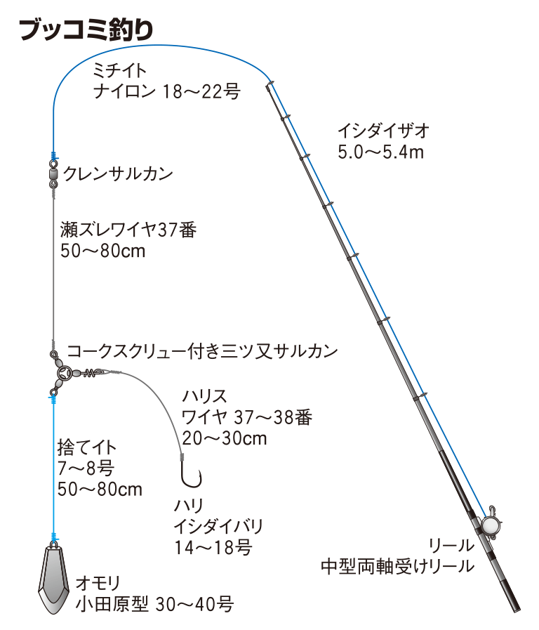 イシダイの仕掛け ブッコミ釣り 釣魚図鑑 特徴 仕掛け さばき方 Honda釣り倶楽部 Honda