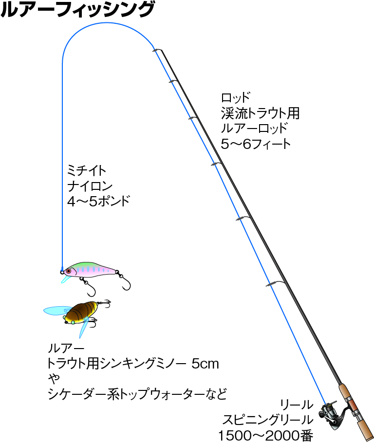 イワナの仕掛け ルアー フライ テンカラ釣り チョウチン釣り 釣魚図鑑 特徴 仕掛け さばき方 Honda釣り倶楽部 Honda