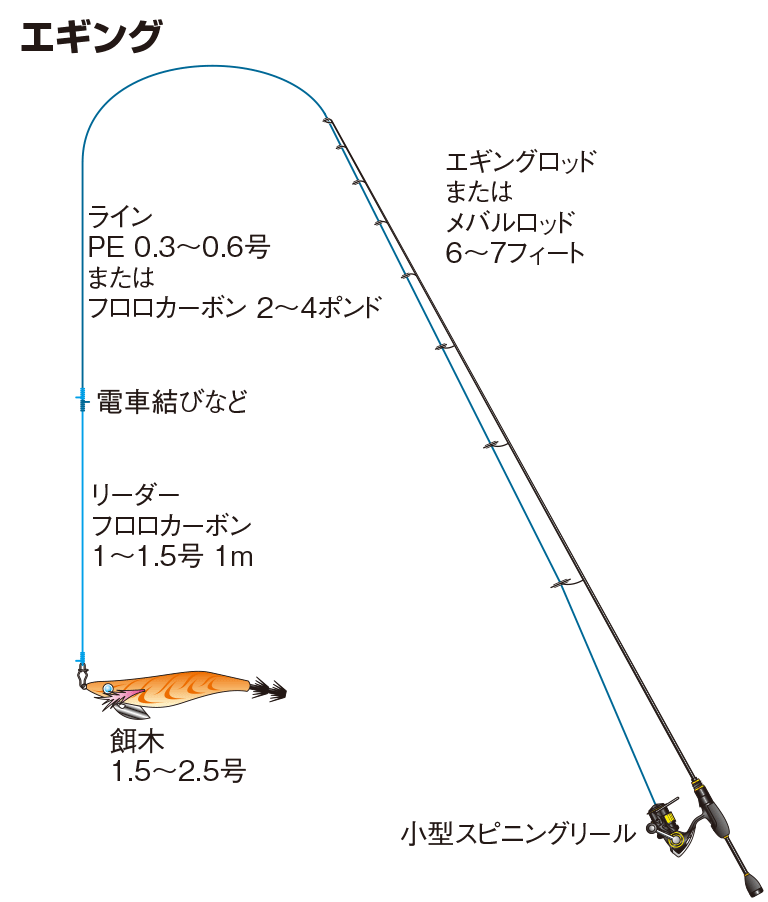 ジンドウイカの仕掛け エギング 釣魚図鑑 特徴 仕掛け さばき方 Honda釣り倶楽部 Honda