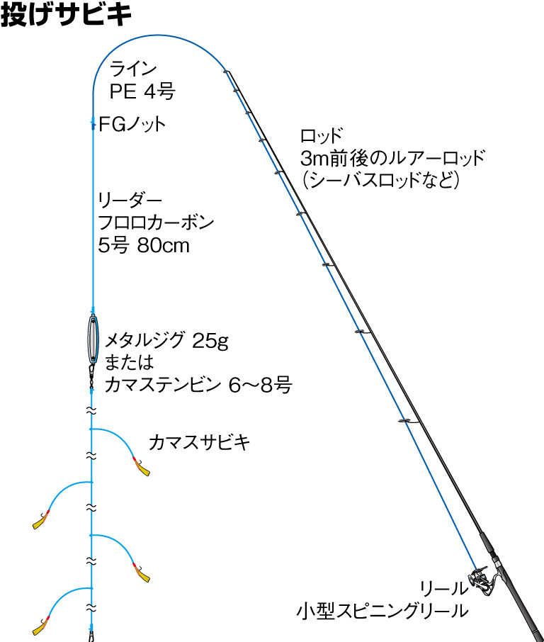 カマスの仕掛け 投げサビキ ルアー 釣魚図鑑 特徴 仕掛け さばき方 Honda釣り倶楽部 Honda