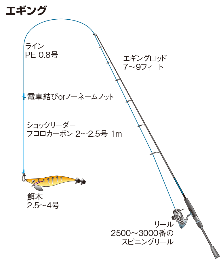 カミナリイカの仕掛け エギング 釣魚図鑑 特徴 仕掛け さばき方 Honda釣り倶楽部 Honda