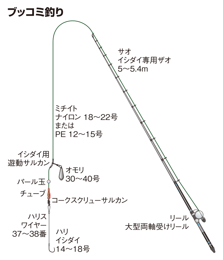 カンダイの仕掛け ブッコミ釣り 釣魚図鑑 特徴 仕掛け さばき方 Honda釣り倶楽部 Honda