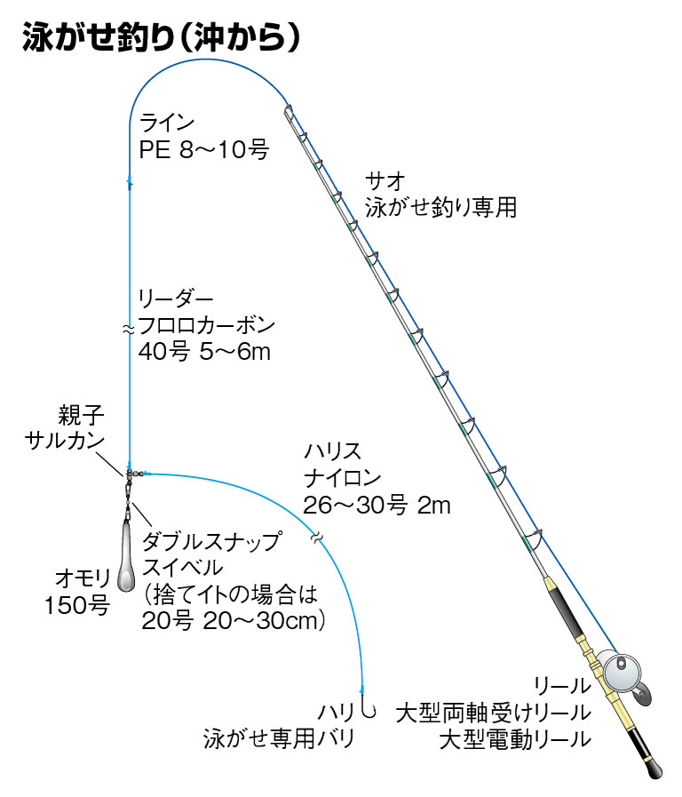 カンパチの仕掛け ジギング 泳がせ釣り 沖から 陸から 釣魚図鑑 特徴 仕掛け さばき方 Honda釣り倶楽部 Honda