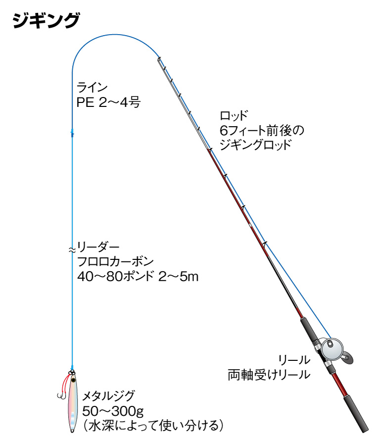 カンパチの仕掛け ジギング 泳がせ釣り 沖から 陸から 釣魚図鑑 特徴 仕掛け さばき方 Honda釣り倶楽部 Honda公式サイト