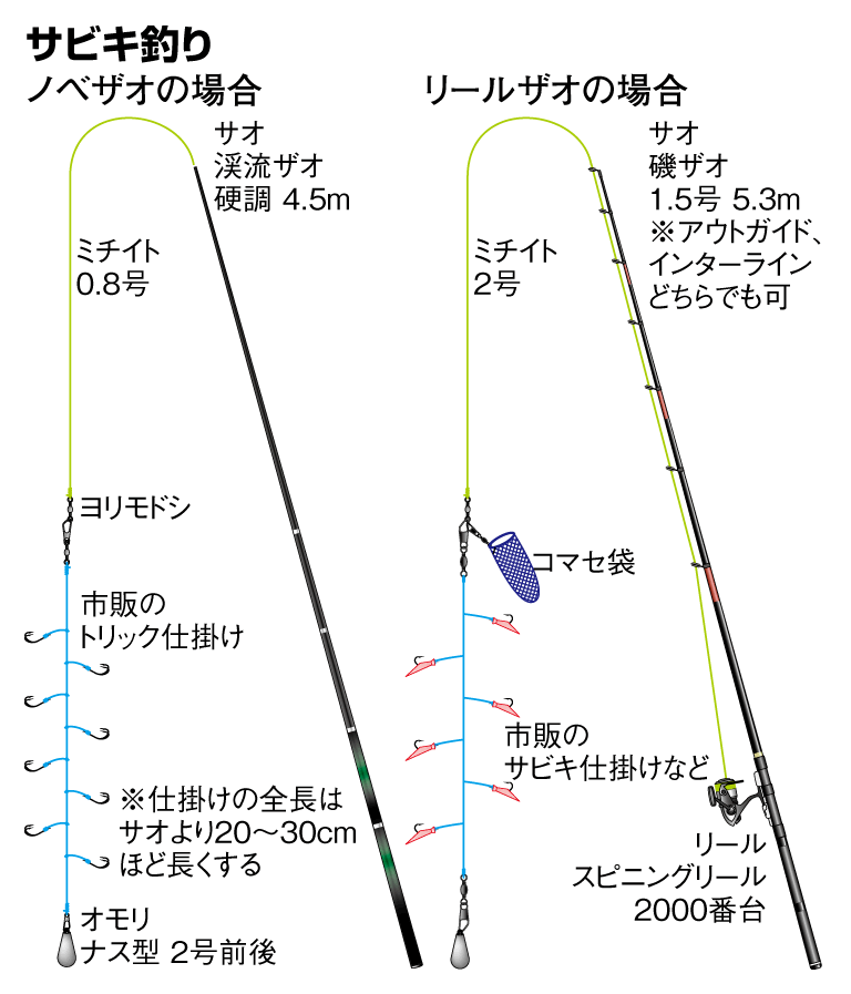 カタクチイワシの仕掛け サビキ釣り 釣魚図鑑 特徴 仕掛け さばき方 Honda釣り倶楽部 Honda