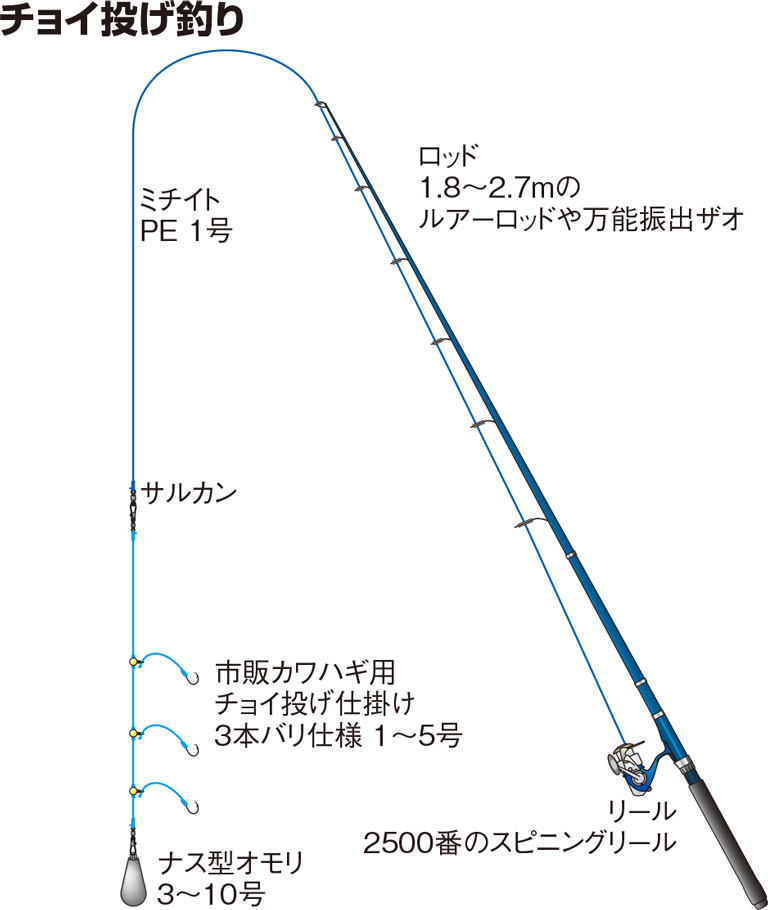 カワハギの仕掛け チョイ投げ釣り 投げ釣り 沖釣り 釣魚図鑑 特徴 仕掛け さばき方 Honda釣り倶楽部 Honda