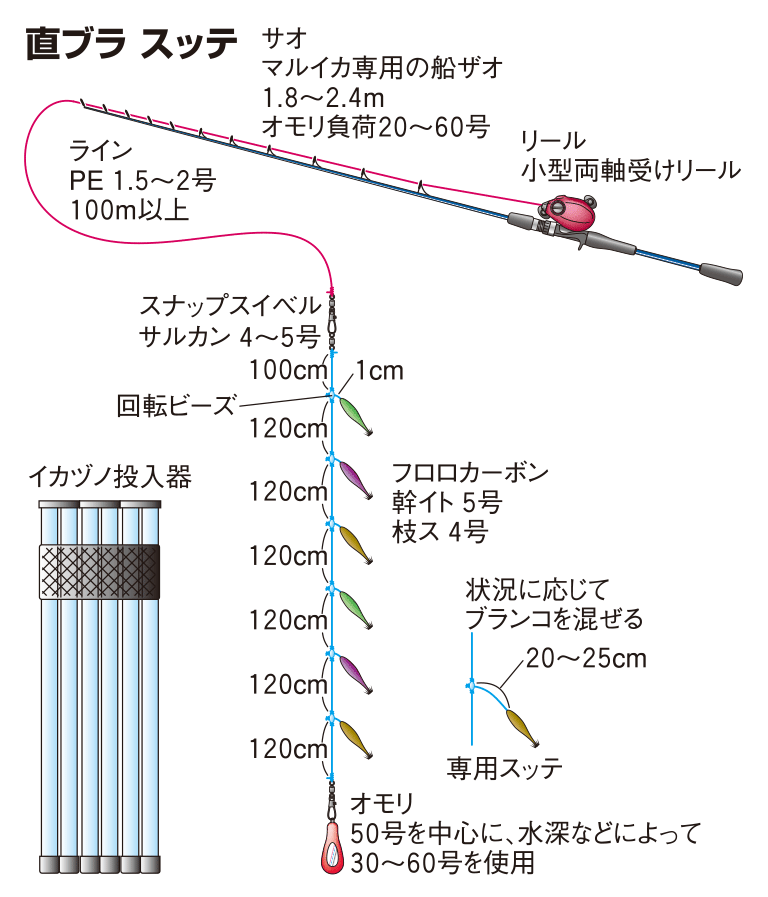 ケンサキイカの仕掛け メタルスッテ 直ブラ スッテ 釣魚図鑑 特徴 仕掛け さばき方 Honda釣り倶楽部 Honda