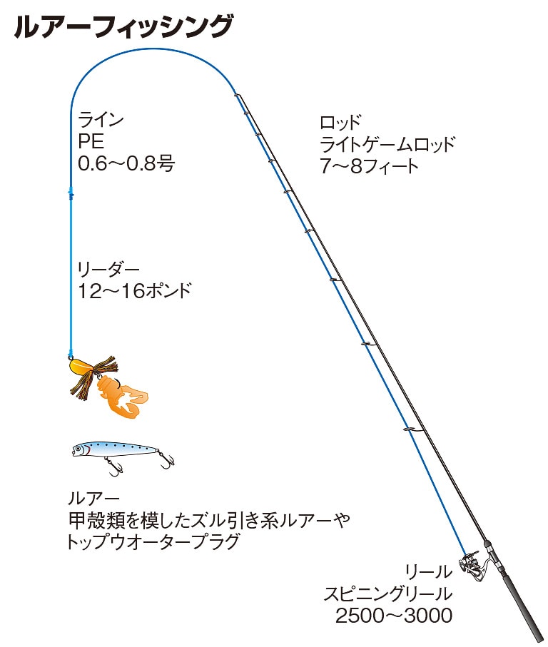 キチヌの仕掛け フライ ルアー ウキフカセ釣り 釣魚図鑑 特徴 仕掛け さばき方 Honda釣り倶楽部 Honda