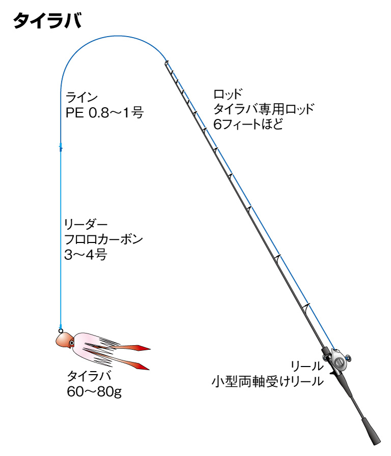 キジハタの仕掛け タイラバ ルアー 釣魚図鑑 特徴 仕掛け さばき方 Honda釣り倶楽部 Honda
