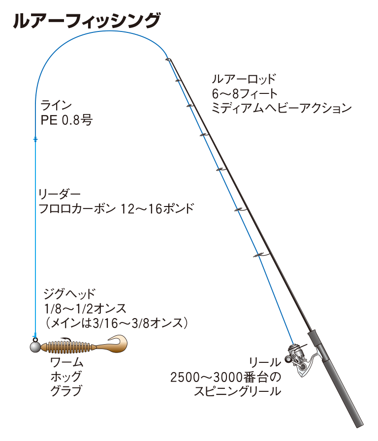 キジハタの仕掛け タイラバ ルアー 釣魚図鑑 特徴 仕掛け さばき方 Honda釣り倶楽部 Honda