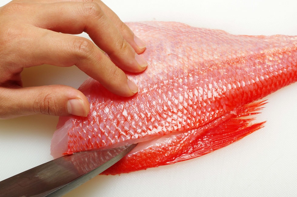 煮魚などの切り身用は中骨付きの2枚おろしがよい。その際は背ビレに沿って切れ込みを入れ……