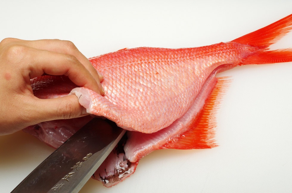 魚を反転させ、腹骨に沿って同じ要領で腹身に切れ込みを入れる。