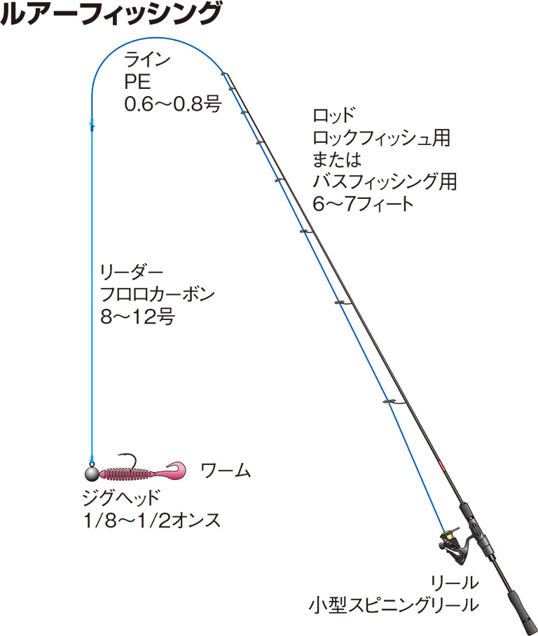 キツネメバルの仕掛け ルアーフィッシング 釣魚図鑑 特徴 仕掛け さばき方 Honda釣り倶楽部 Honda