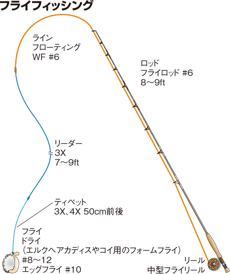 コイの仕掛け フライ パンコイ ダンゴ釣り ヘアリグ 釣魚図鑑 特徴 仕掛け さばき方 Honda釣り倶楽部 Honda