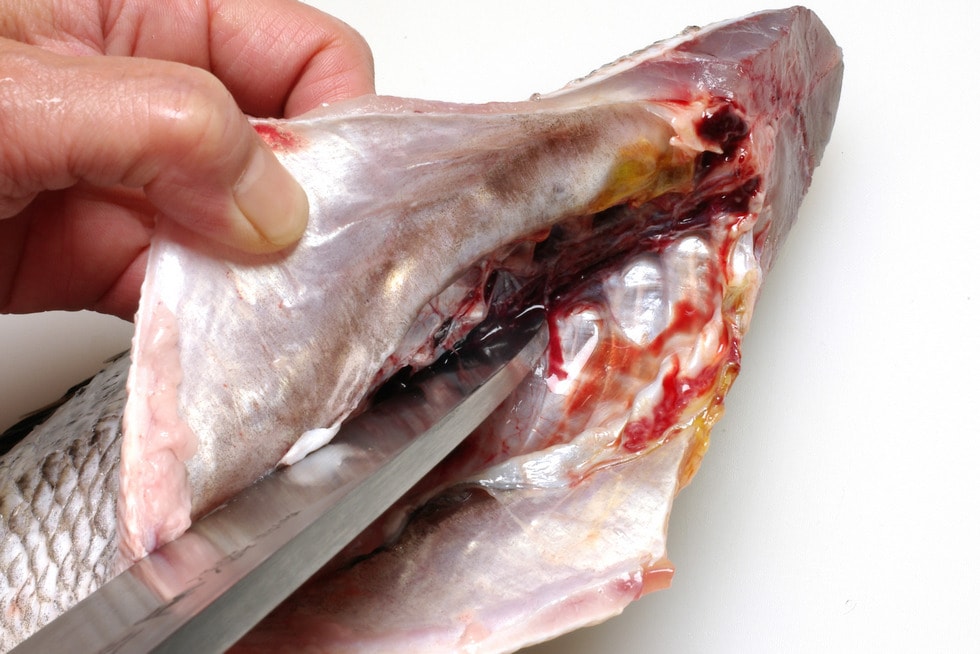中骨主骨には多量の血ワタが付着しているので、包丁の切っ先でまず筋目を入れる。