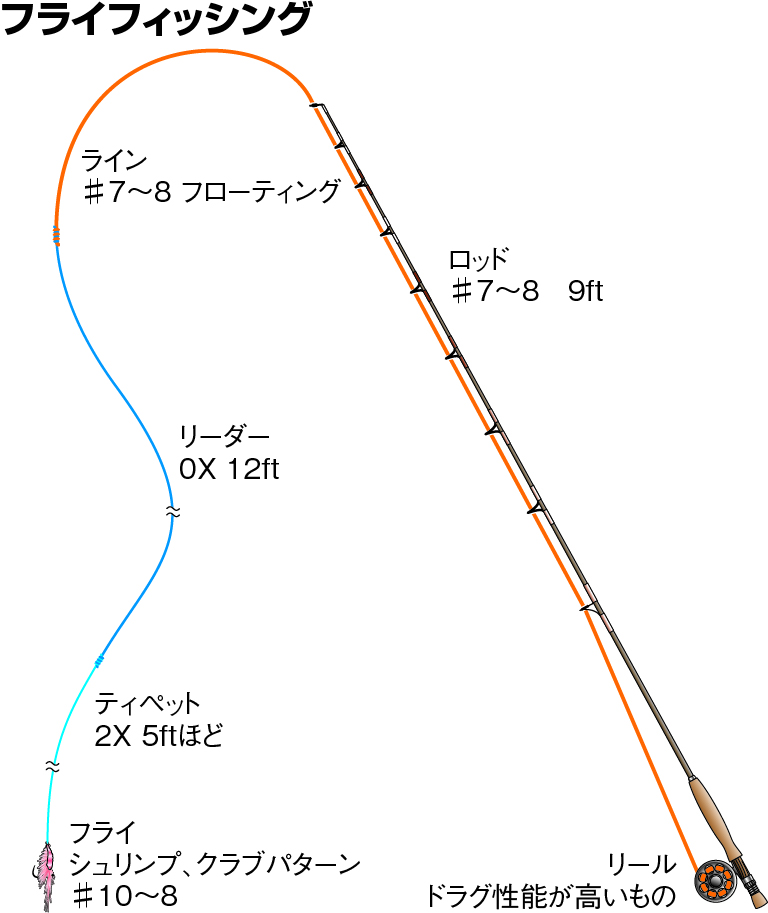 クロダイの仕掛け カカリ フライ 投げ ルアー ウキフカセ 落とし込み 釣魚図鑑 特徴 仕掛け さばき方 Honda釣り倶楽部 Honda公式サイト