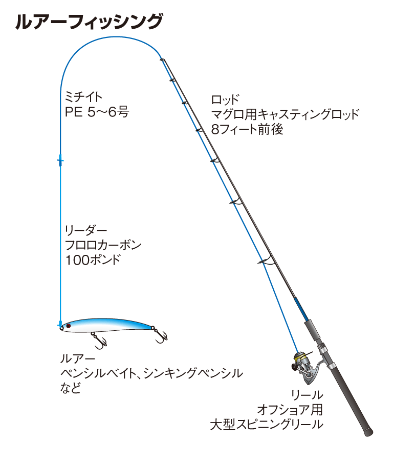 クロマグロの仕掛け 沖釣り ルアー 釣魚図鑑 特徴 仕掛け さばき方 Honda釣り倶楽部 Honda