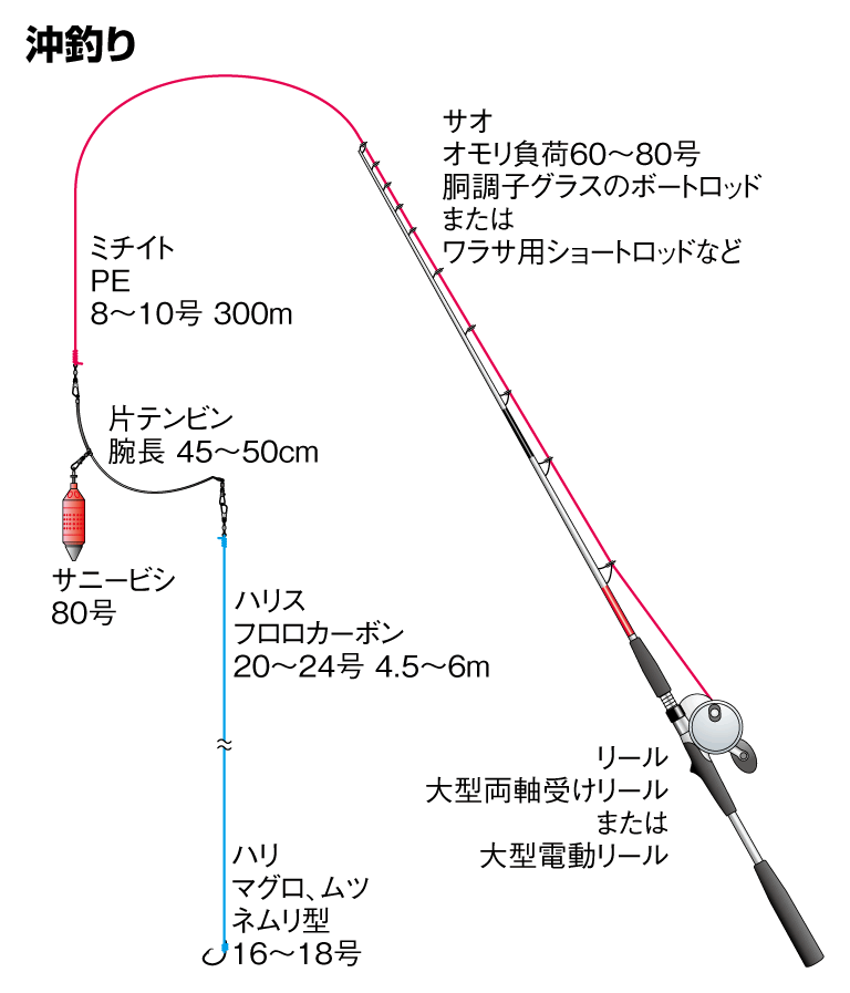 クロマグロの仕掛け 沖釣り ルアー 釣魚図鑑 特徴 仕掛け さばき方 Honda釣り倶楽部 Honda