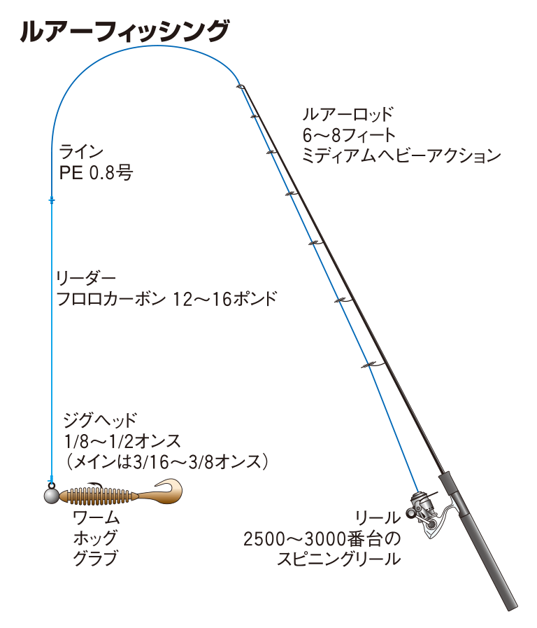 クロソイの仕掛け ルアーフィッシング 釣魚図鑑 特徴 仕掛け さばき方 Honda釣り倶楽部 Honda