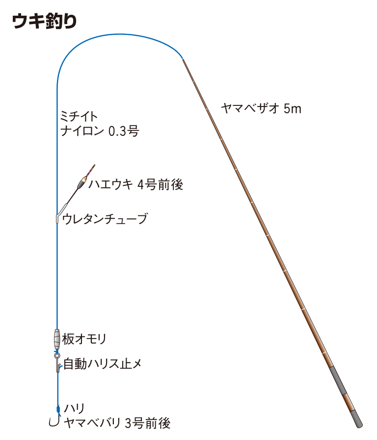 クルメサヨリの仕掛け ウキ釣り 釣魚図鑑 特徴 仕掛け さばき方 Honda釣り倶楽部 Honda