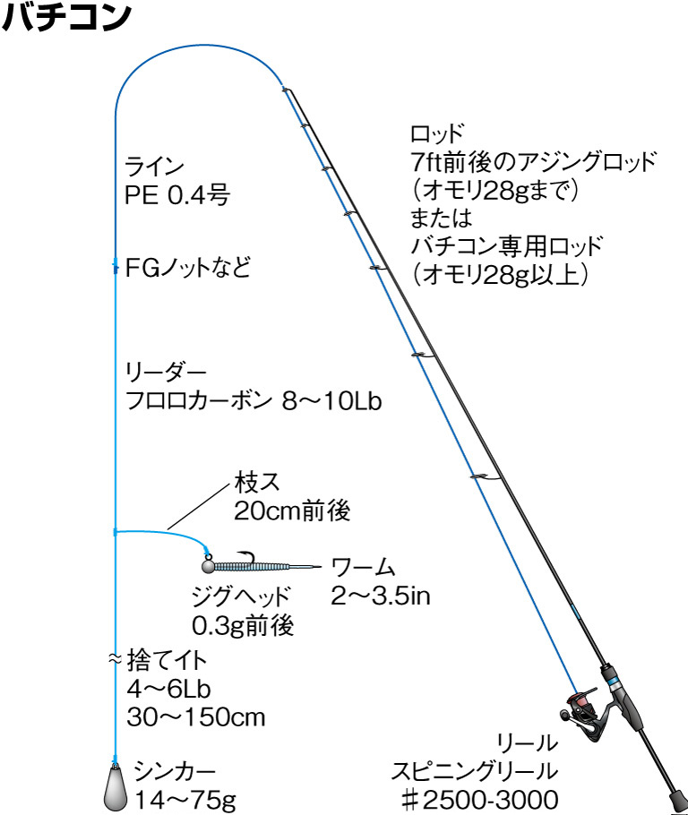 マアジの仕掛け バチコン カゴ釣り サビキ アジングなど 釣魚図鑑 特徴 仕掛け さばき方 Honda釣り倶楽部 Honda