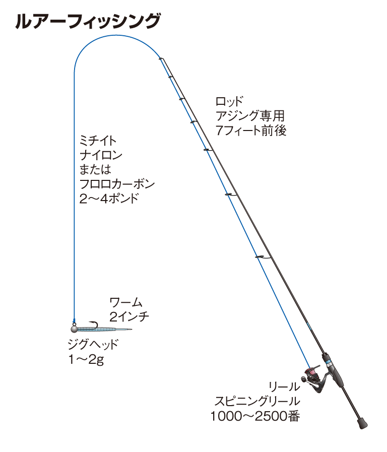 マアジの仕掛け バチコン カゴ釣り サビキ アジングなど 釣魚図鑑 特徴 仕掛け さばき方 Honda釣り倶楽部 Honda