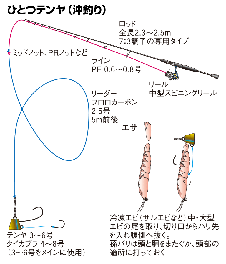 マダイの仕掛け（ジギング／カゴ釣り／ひとつテンヤ／コマセダイ