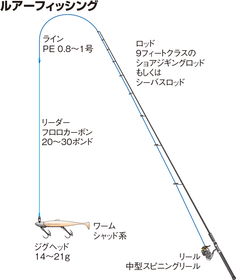 マゴチの仕掛け ルアー 沖釣り 釣魚図鑑 特徴 仕掛け さばき方 Honda釣り倶楽部 Honda