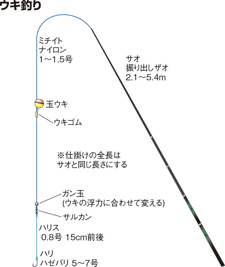 マハゼの仕掛け ウキ釣り ハゼクラ ミャク釣り 釣魚図鑑 特徴 仕掛け さばき方 Honda釣り倶楽部 Honda公式サイト