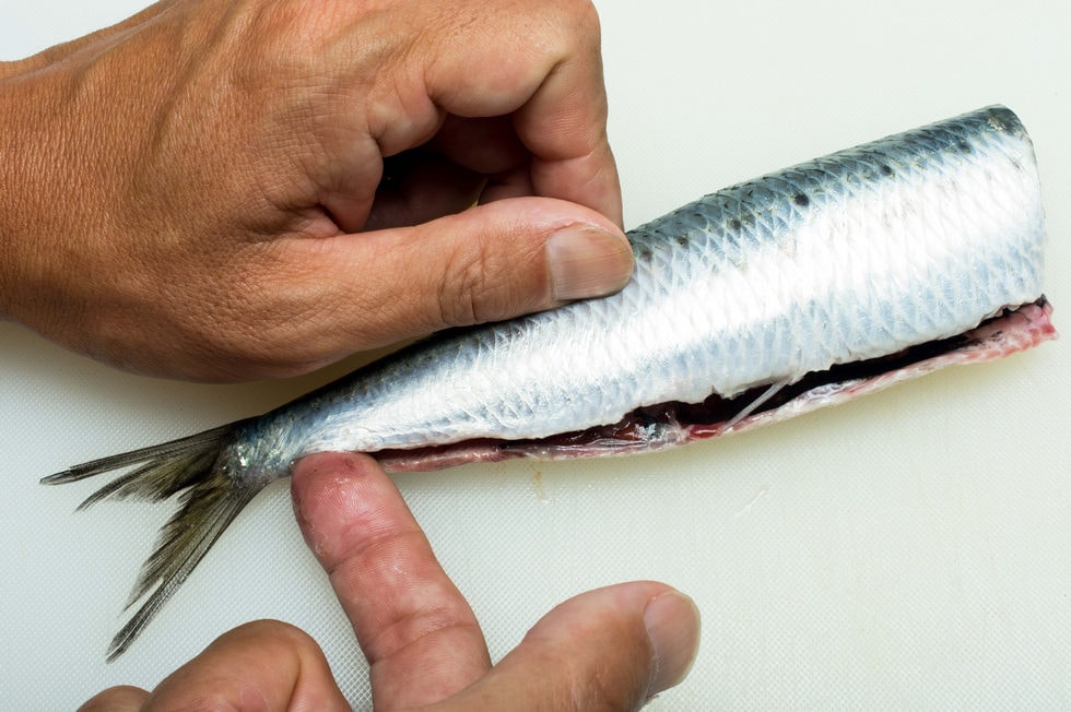 尻ビレに沿って尾の付け根まで腹身を切り開く。