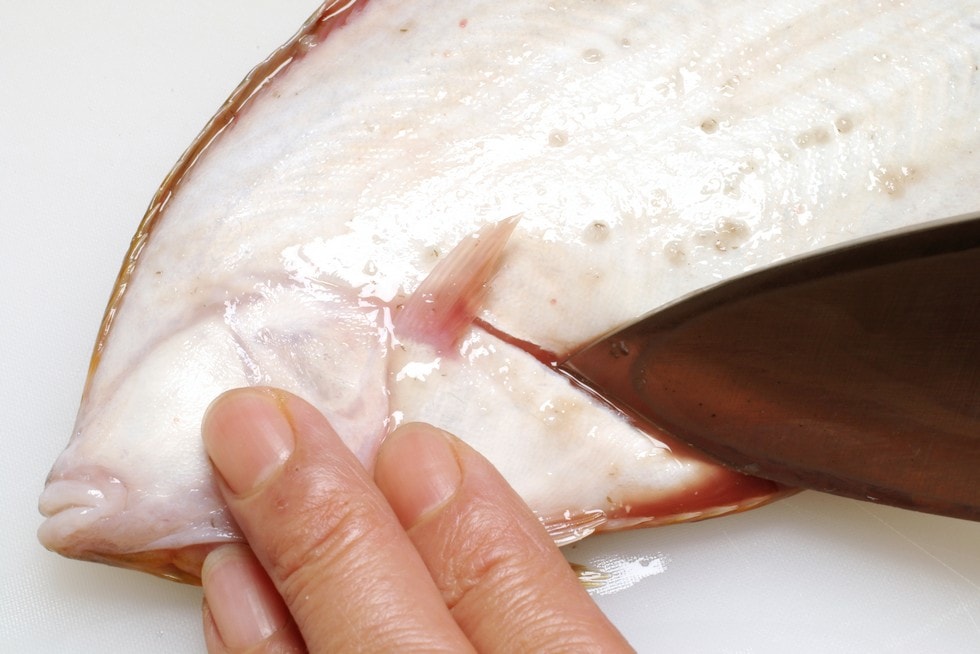 煮魚にする場合は、ウロコを引いた後、全体の形をなるべく崩さないように裏身の胸ビレ下に切り口を入れてそこから内臓を取り出す。