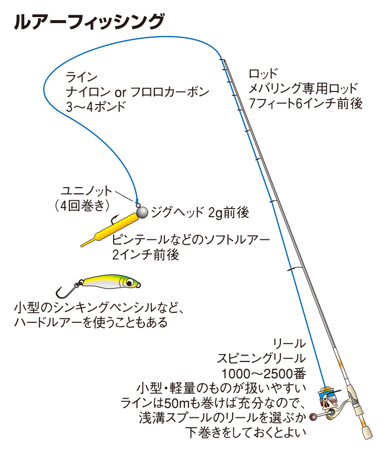 メバルの仕掛け ウキ釣り ルアー 沖釣り 釣魚図鑑 特徴 仕掛け さばき方 Honda釣り倶楽部 Honda公式サイト