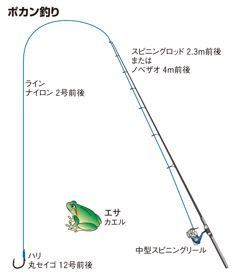 ポカン釣り