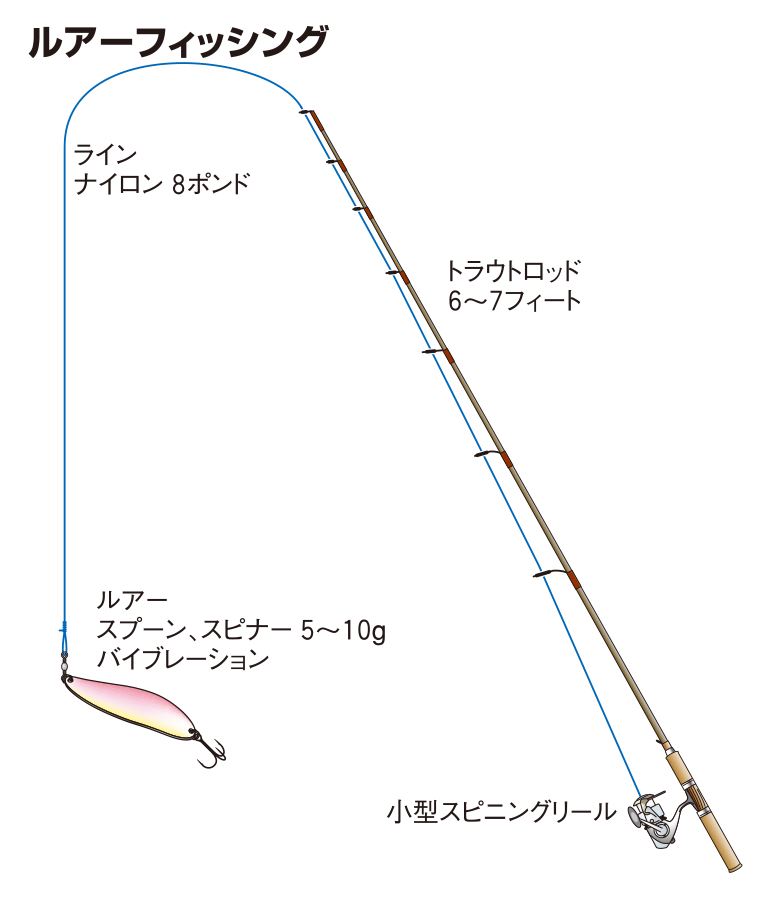 ニゴイの仕掛け ルアーフィッシング 釣魚図鑑 特徴 仕掛け さばき方 Honda釣り倶楽部 Honda