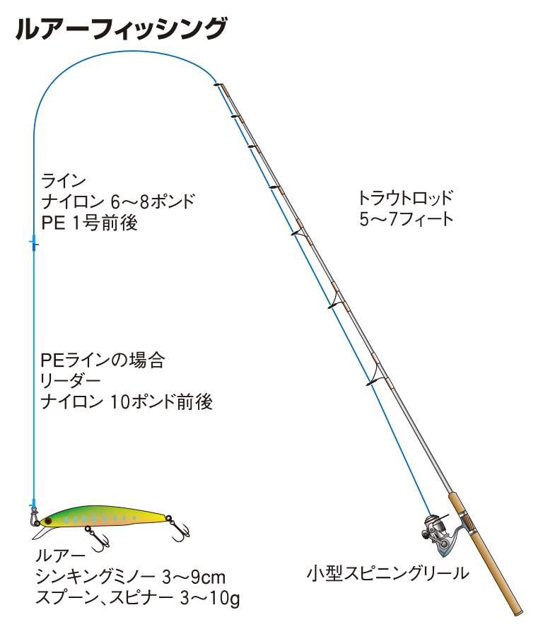 ニジマスの仕掛け エサ釣り フライ ルアー 釣魚図鑑 特徴 仕掛け さばき方 Honda釣り倶楽部 Honda