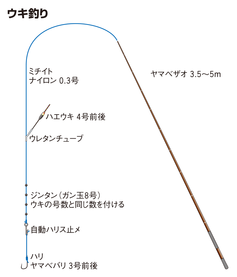 オイカワの仕掛け 蚊バリ釣り ピストン釣り ウキ釣り 釣魚図鑑 特徴 仕掛け さばき方 Honda釣り倶楽部 Honda