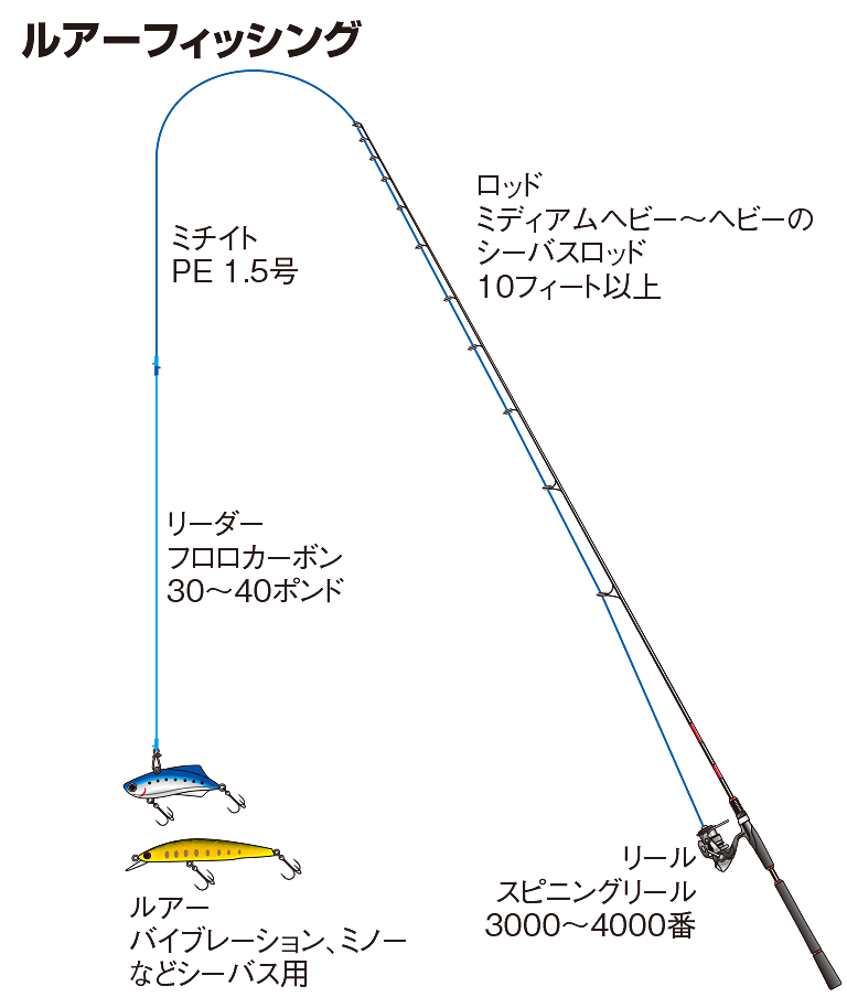 オオニベの仕掛け ルアーフィッシング 釣魚図鑑 特徴 仕掛け さばき方 Honda釣り倶楽部 Honda