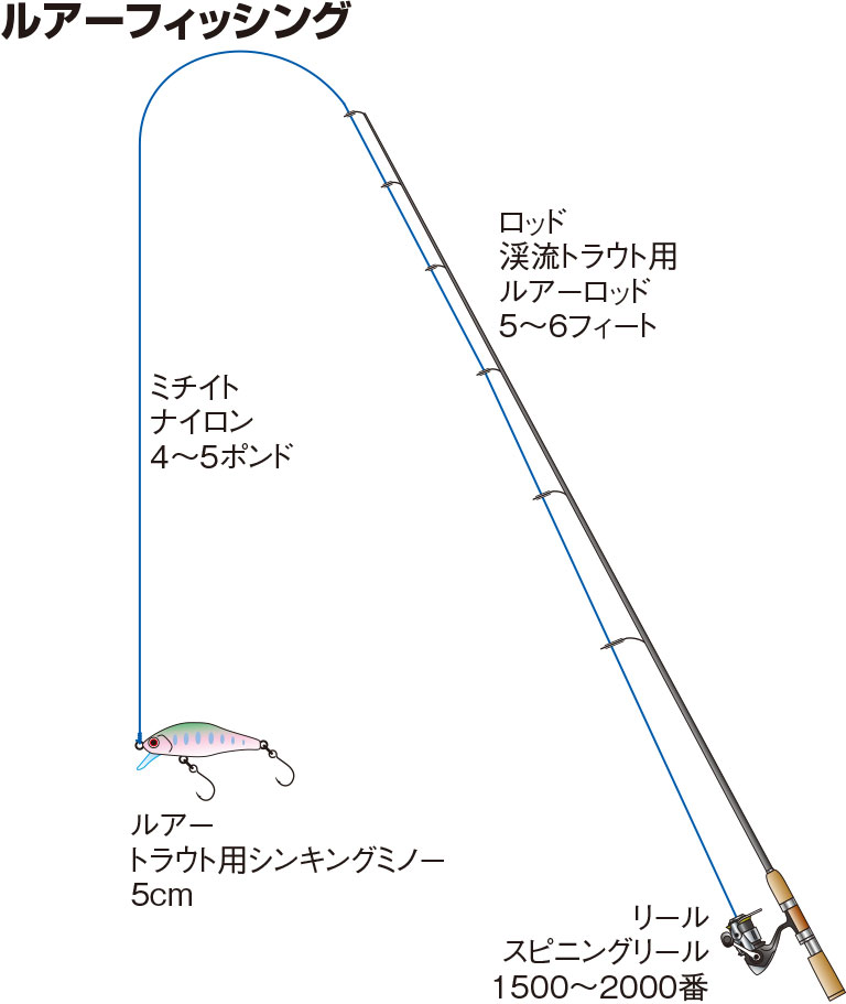 オショロコマの仕掛け ルアー フライ 釣魚図鑑 特徴 仕掛け さばき方 Honda釣り倶楽部 Honda