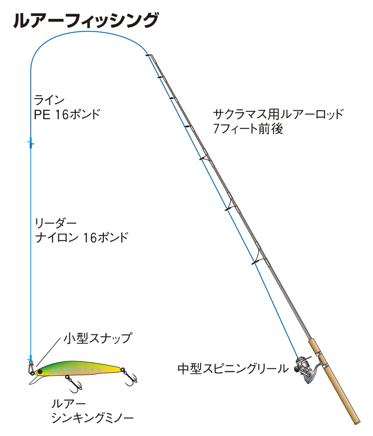 サクラマスの仕掛け フライ ルアー 釣魚図鑑 特徴 仕掛け さばき方 Honda釣り倶楽部 Honda