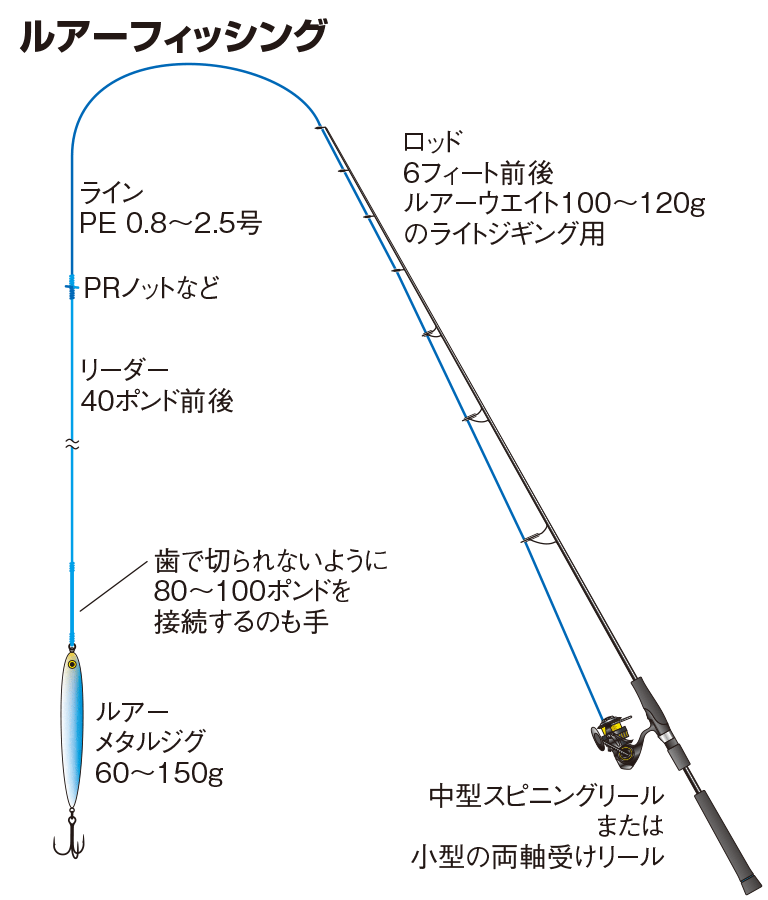 サワラの仕掛け ルアーフィッシング 釣魚図鑑 特徴 仕掛け さばき方 Honda釣り倶楽部 Honda