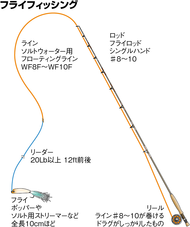 シイラの仕掛け フライ ルアー 釣魚図鑑 特徴 仕掛け さばき方 Honda釣り倶楽部 Honda