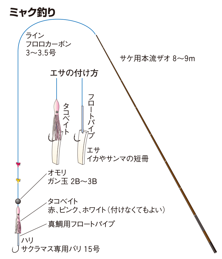 シロザケの仕掛け ジギング ルアー フライ ミャク釣り 釣魚図鑑 特徴 仕掛け さばき方 Honda釣り倶楽部 Honda