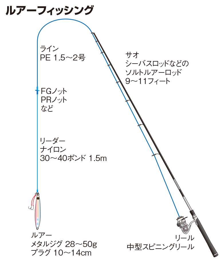 スマの仕掛け ルアーフィッシング 釣魚図鑑 特徴 仕掛け さばき方 Honda釣り倶楽部 Honda