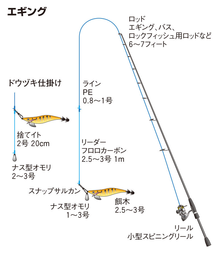 スミイカの仕掛け エギング 釣魚図鑑 特徴 仕掛け さばき方 Honda釣り倶楽部 Honda