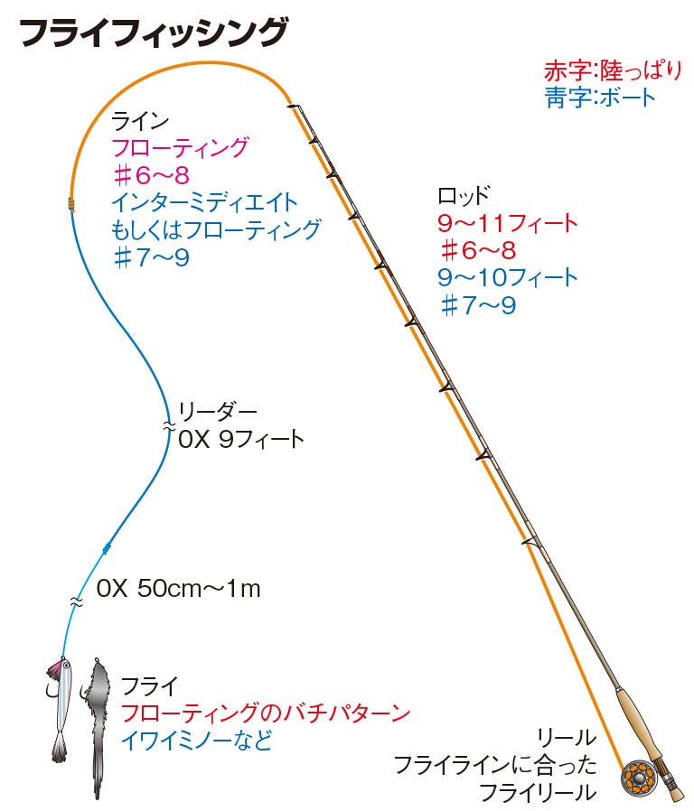 スズキの仕掛け エビ撒き釣り フライ ルアー 釣魚図鑑 特徴 仕掛け さばき方 Honda釣り倶楽部 Honda公式サイト