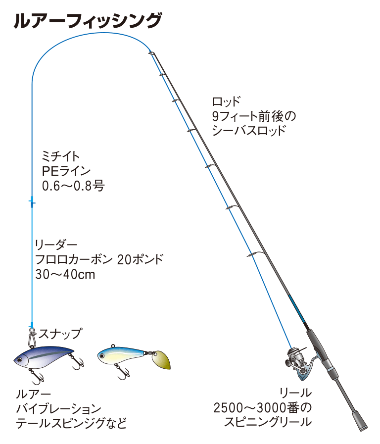 スズキの仕掛け エビ撒き釣り フライ ルアー 釣魚図鑑 特徴 仕掛け さばき方 Honda釣り倶楽部 Honda公式サイト