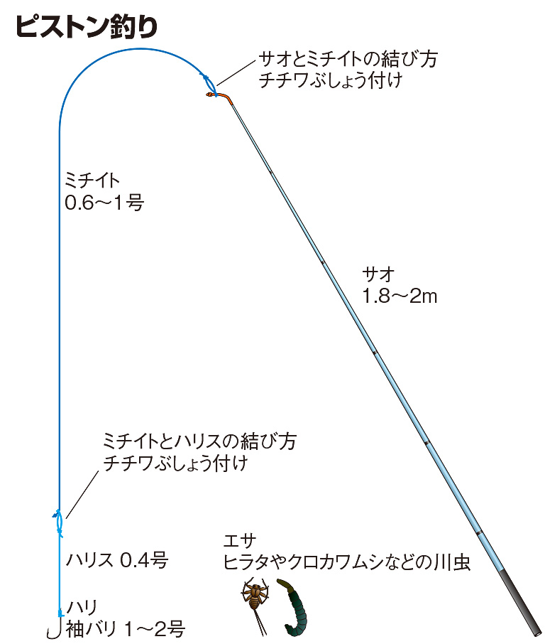 ウグイの仕掛け ピストン釣り ミャク釣り 釣魚図鑑 特徴 仕掛け さばき方 Honda釣り倶楽部 Honda